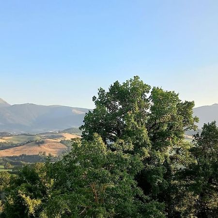 Pigno, Appartamento In Campagna Cagli Exterior photo